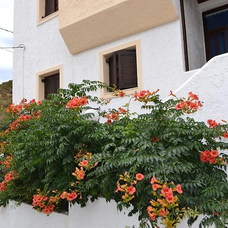 Bella Casa Lejlighed Bali  Eksteriør billede